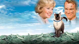 酷猫妙妙探 photo
