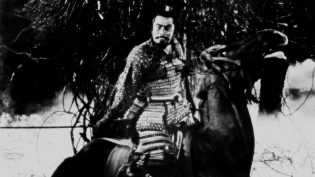 蜘蛛巢城 photo