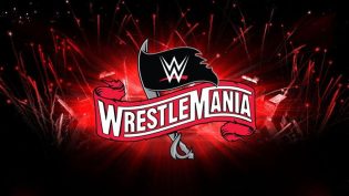 WWE 摔角狂热 36 第二赛日 photo