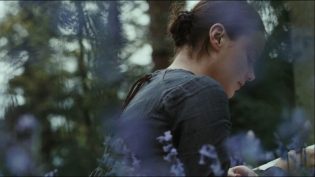 明亮的星 photo