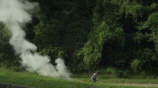 小森林：冬春篇 photo