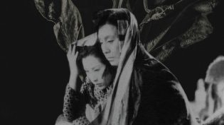 残菊物语 photo
