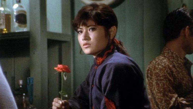 女必杀拳 photo