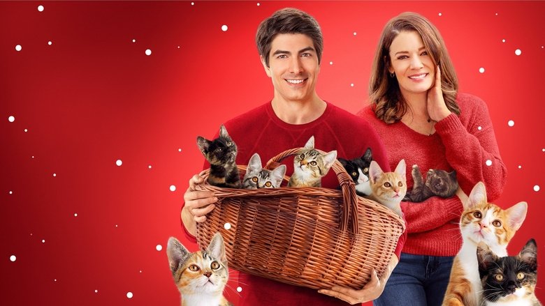 The Nine Kittens of Christmas photo