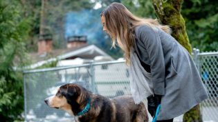 Love at First Bark photo