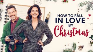 How to Fall in Love by Christmas photo