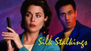 Silk Stalkings photo