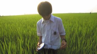 关于莉莉周的一切 photo