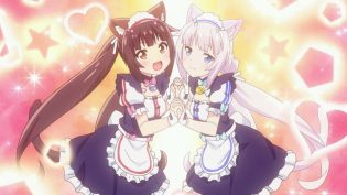猫娘乐园 photo