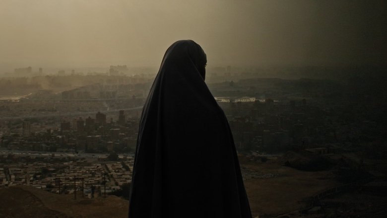 عائشة لا تستطيع الطيران photo