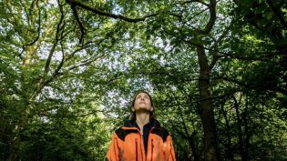 The Arborist photo
