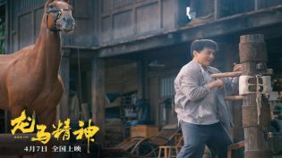 龙马精神 photo