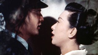 樱花恋 photo