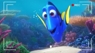 Dory's Reef Cam photo