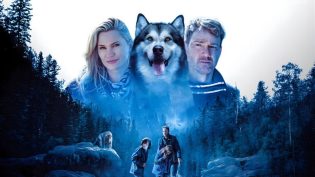 Hero Dog: The Journey Home photo