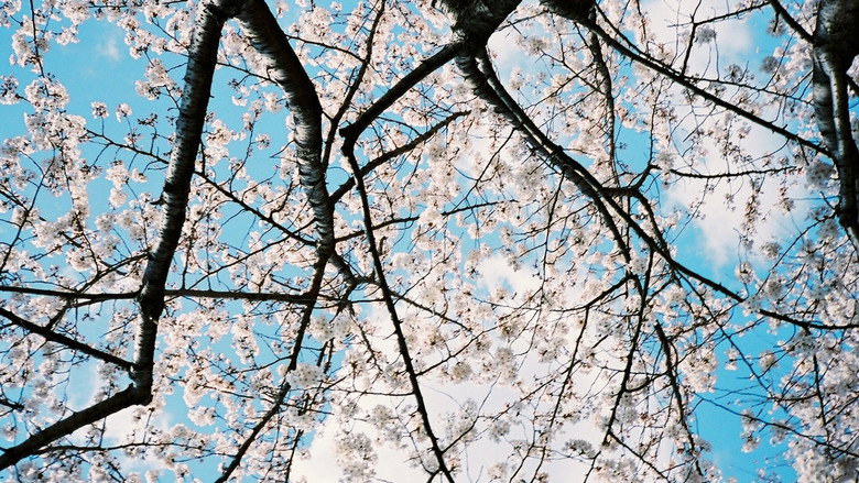 不求上进的玉子 photo