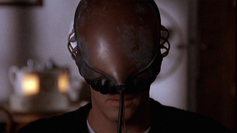 网络迷宫 photo