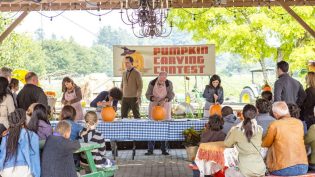 Harvest Love photo