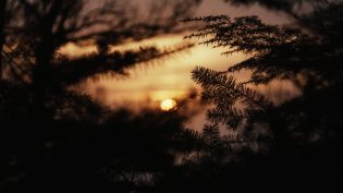 另一半 photo