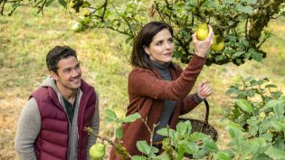 Harvest Love photo