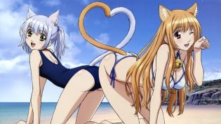 玩伴猫耳娘 photo