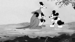 Mickey's Kangaroo photo