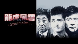 龙虎风云 photo