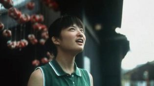 沙罗双树 photo