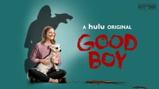 Good Boy photo