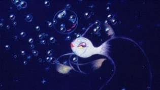 幻想曲 photo