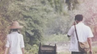山楂树之恋 photo