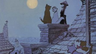 猫儿历险记 photo
