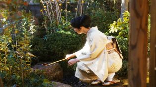 日日是好日 photo