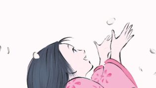 辉夜姬物语 photo