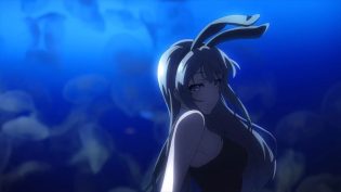 青春猪头少年不会梦到红书包女孩 photo