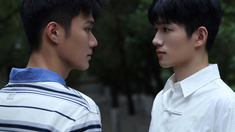 你的心事映在我的眉间 photo