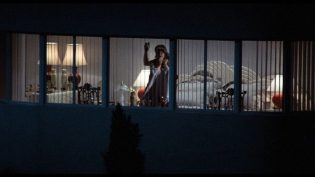 粉红色杀人夜 photo