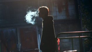 关于莉莉周的一切 photo