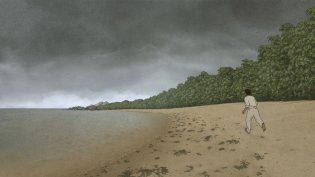 红海龟 photo