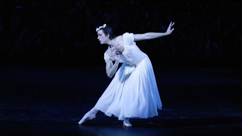 Bolshoi Ballet: The Bright Stream photo