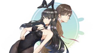 青春猪头少年不会梦到兔女郎学姐 photo