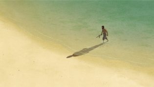 红海龟 photo