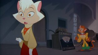 猫咪不跳舞 photo
