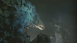 哥斯拉vs碧奥兰蒂 photo