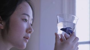 瑞普·凡·温克尔的新娘 photo