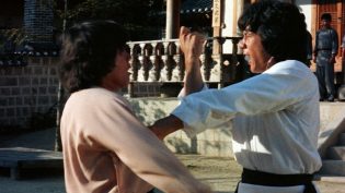 龙拳 photo