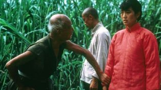 红高粱 photo