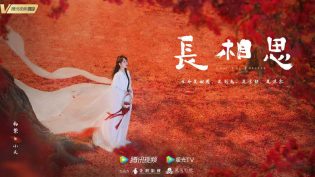 长相思 photo