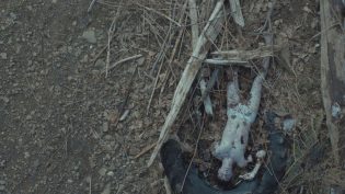 死后的关怀 photo