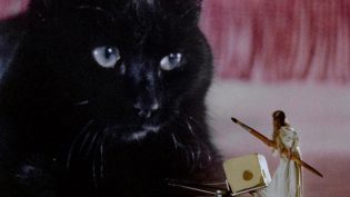 食人猫大报复 photo